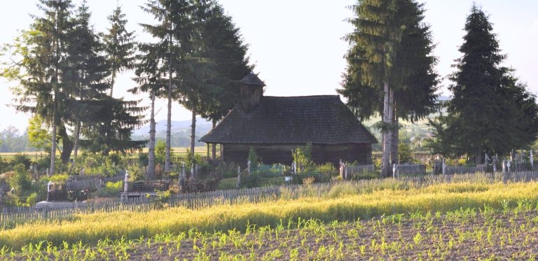 Biserica de lemn Cuvioasa Paraschiva - panorama