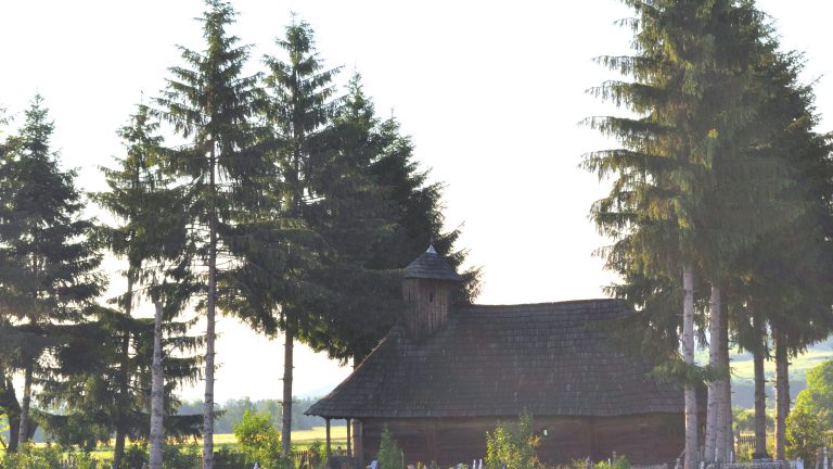 Biserica de lemn Cuvioasa Paraschiva - vedere generala