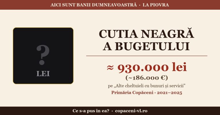 Cutia neagră a bugetului: aproape 930.000 de lei pe „Alte cheltuieli”. Ce s-a pus în ea?
