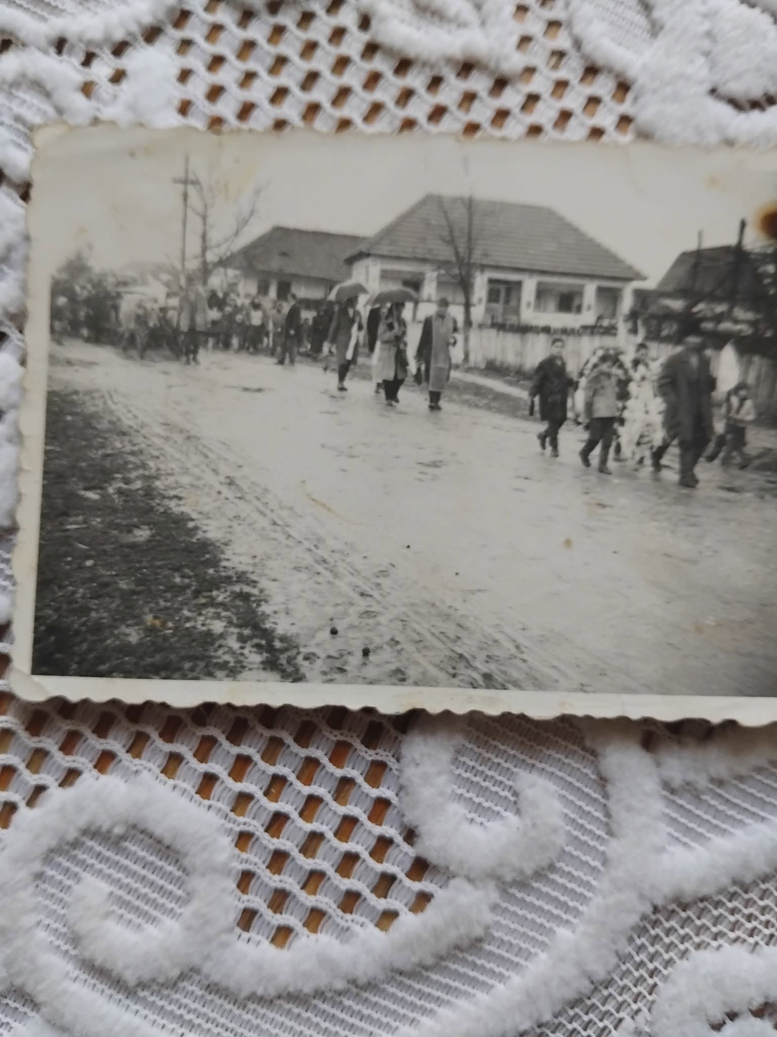 fotografie